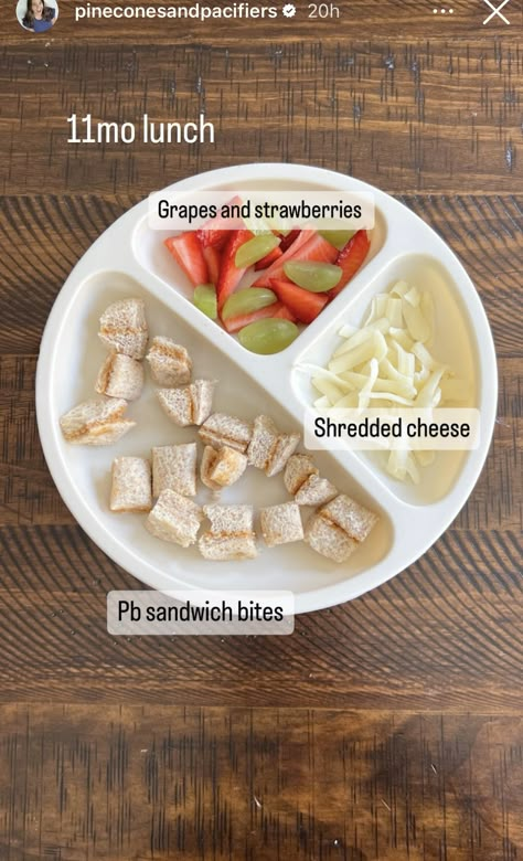 Infant Daycare Lunch Ideas, Meals For My 9 Month Old, First Birthday Meal Ideas, 12 Month Old Food Ideas Meals, Baby Snack Ideas 1 Year, Meals For My One Year Old, One Year Old Meal Ideas Breakfast, 6 Month Food Schedule, 15 Month Old Food Ideas