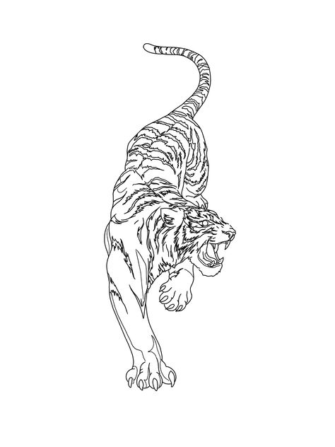 Tiger Stretching Drawing, Snowlepord Tattoo, Tiger Tattoo Placement, Tiger Side Tattoo, Line Work Tiger Tattoo, Smilodon Tattoo, Asian Tiger Tattoo, Fine Line Tiger Tattoo, Tiger Tattoo Back