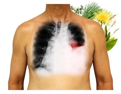 7 Natural Ways to Cleanse Lungs with Herbs 3 Cleanse Lungs, Chlorophyll Benefits, Clean Lungs, Clear Lungs, Lung Cleanse, Vicks Vapor Rub, Lung Detox, Diy Medicine, Vocal Cords