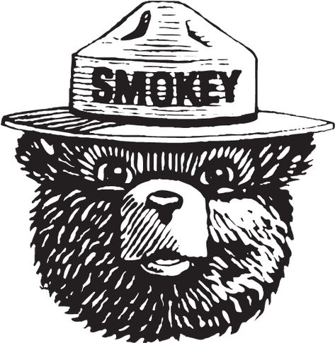 Bear Template, Library Book Bag, Bear Decal, Smokey The Bear, Smokey Bear, Bear Tattoos, Smokey The Bears, Bear Drawing, Bear Tattoo