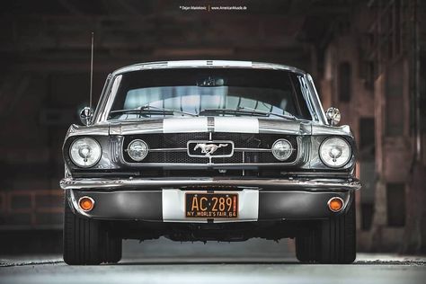 1965 Ford Mustang | private Client | Location: Winterthur Switzerland | 2017 ... Custom Wheels Trucks, Mustang Car, Ford Mustang Coupe, Shelby Mustang, Auto Retro, Classic Mustang, Mustang Fastback, Ford Classic Cars, Shelby Gt500