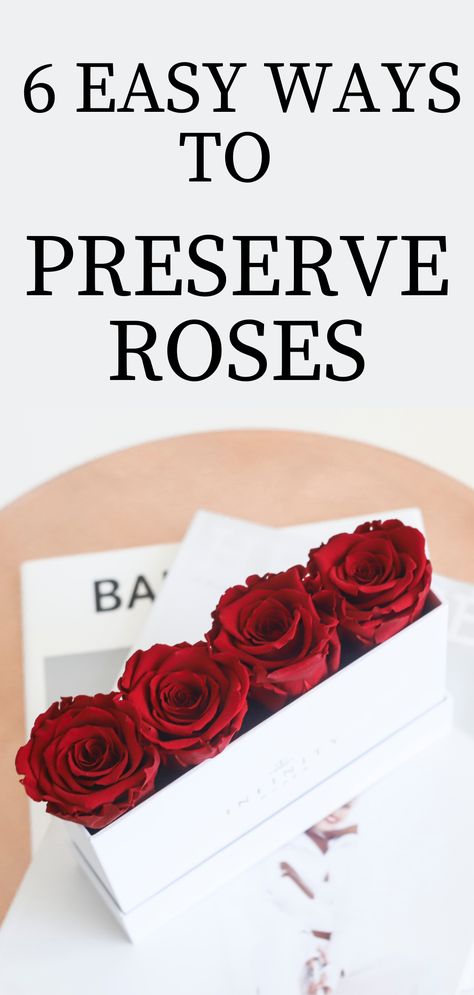 From holiday celebrations to weddings and everything in between, roses are the perfect way to commemorate life’s special moments. Here are 6 easy methods on how to preserve roses. #preservedroses #preserveroses #rosesinabox #rosesthatlastayear #redroses #rosebox #howtopreserveroses How To Store Flowers Forever, Ways To Preserve Roses, How To Save A Rose Forever, How To Persevere Roses, Preserving Roses In Resin, How To Make Forever Rose, How To Save Roses Forever Dried Flowers, How To Save Rose Petals, How To Preserve Roses Forever