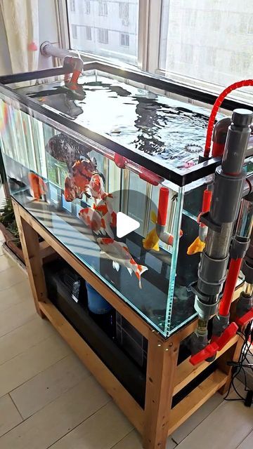 Aquarium Room Ideas, Toilet Upgrade, Koi Fish Aquarium, Koi Fish Tank, Fish Tank Themes Ideas, Water Filter Diy, Diy Filters, Diy Aquarium Filter, Best Aquarium Filter