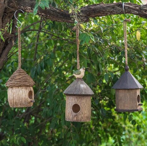 Bird house feeder