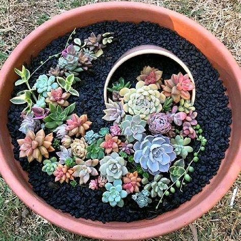 Dishfunctional Designs: How To Make An Artistic Succulent Dish Garden Succulent Garden Indoor, Succulent Garden Design, Fairy Garden Designs, Succulent Garden Diy, Dish Garden, Succulent Gardening, Succulents Indoor, Mini Succulents, Small Succulents