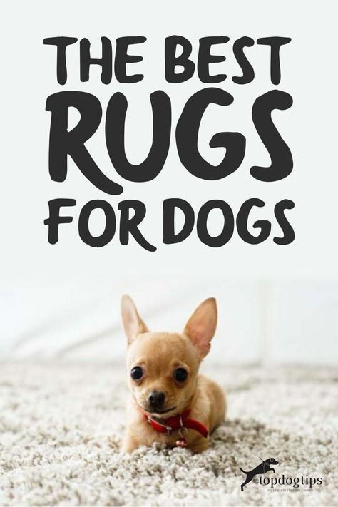 Dog Carpet, Dog Rug, Cheap Dog Beds, Rubber Carpet, Best Rugs, Durable Carpet, Best Dog Beds, Cheap Dogs, Dog Pee