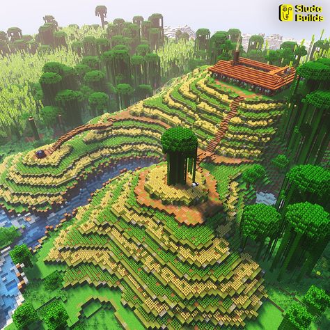 Minecraft Hillside Farm, Minecraft Animal Crossing, Minecraft Trails Ideas, Minecraft Terraced Farm, Rice Field Minecraft, Rice Fields Minecraft, Minecraft Rice Field, Minecraft Layered Farm, Minecraft Fields