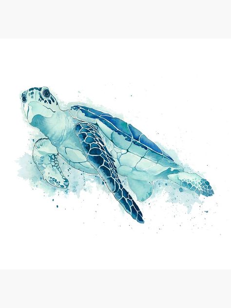 Sea Turtle Drawing, Watercolor Sea Turtle, Sea Turtle Pictures, Sea Turtle Watercolor, Turtle Watercolor, Turtle Drawing, Sea Turtle Art, Turtle Tattoo, Turtle Decor