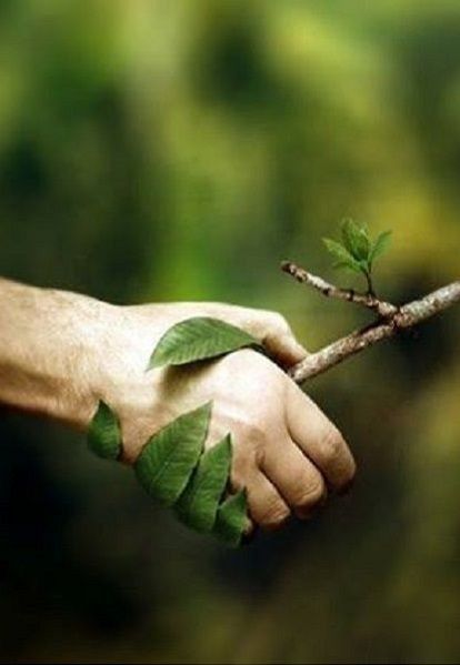 Every living thing is connected. Stefan Edberg, Foto Tips, Tree Hugger, Foto Art, Trik Fotografi, East Sussex, Sioux, Earth Day, Mother Earth