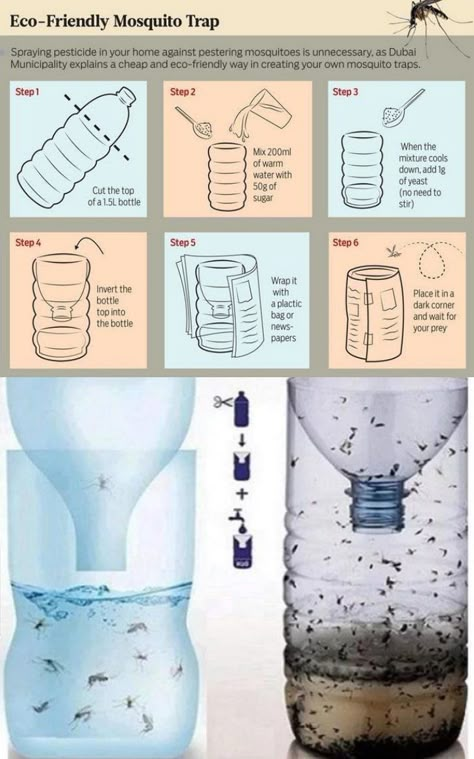 Get Rid Of Mosquitos, Mosquito Trap Diy, Mosquito Repellent Homemade, Mosquito Traps, Diy Mosquito Repellent, Bug Spray Recipe, Mosquito Repelling, Diy Beer, Natural Mosquito Repellant