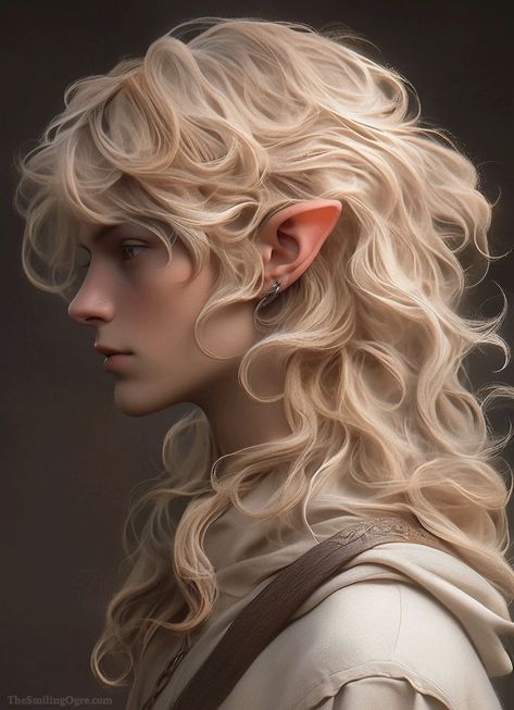 Character Inspiration Artbreeder, Ogre Art, Fairy Man, Blonde Elf, Elves Art, Elf World, Elf Hair, Fairy King, Male Fairy