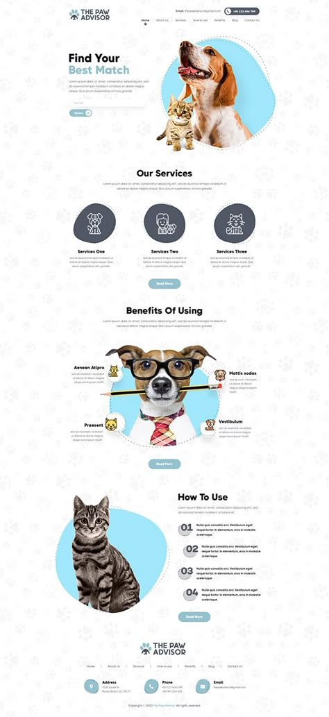 Pet Landing Page, Pet Website Design Inspiration, Behance Website Design, Pet Design Branding, Landing Pages Inspiration, Animal Website Design, Landing Design Ideas, Pet Branding Design, Pet Graphic Design