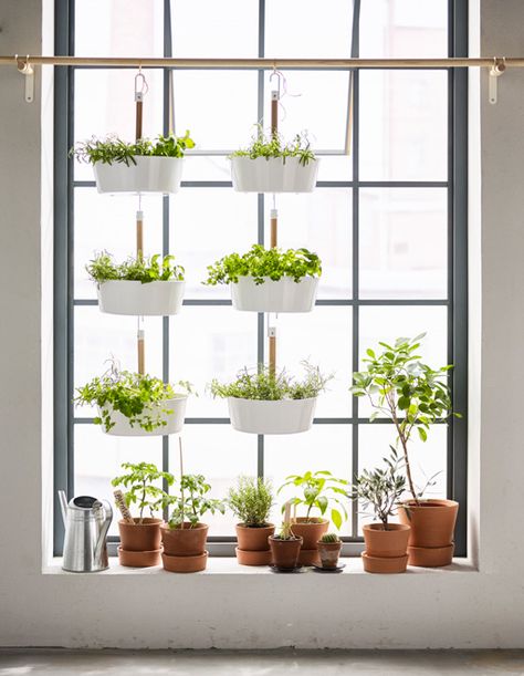 Got garden dreams but only a small apartment? Try extending your windowsill by hanging pots. Mini Serre, Koti Diy, Ikea Wall, Window Plants, نباتات منزلية, Apartment Plants, Basement Windows, Indoor Window, Indoor Herb