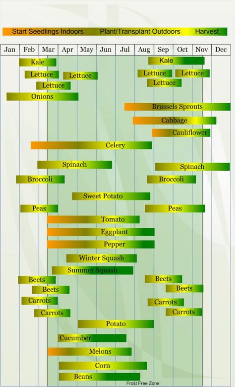 Zone 8 Vegetable Planting Calendar/Schedule - VeggieHarvest.com Zone 8 Gardening, Vegetable Planting Calendar, Vegetable Planting Guide, Growing Calendar, Seedlings Indoors, Zone 8b, Vegetable Planting, When To Plant Vegetables, Texas Garden