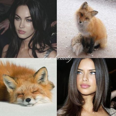 types of beauty #deer #cat #bunny #fox Rabbit Pretty Makeup, Deer Pretty Celebrity, Animal Pretty Face Types, Cat Beauty Face Type, Cat Pretty Makeup, Bunny Makeup Look, Rabbit Beauty, Derin Core, Deer Beauty