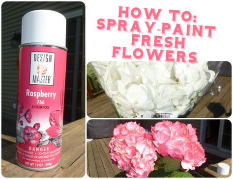 They all said it couldn't be done. Spray painting flowers?! And not killing them? Yes, yes, you can do it and it's SUPER easy, relatively cheap, and instantly gratifying. Did you know pink hydrangeas usually go for $8 a stem, while the white variety is only around $2? I ordered 68 white hydrangeas in June… Spray Paint Flowers, Artificial Flowers Outdoors, Best Spray Paint, How To Spray Paint, Purple Hydrangeas, Dried Flowers Diy, Fresh Wedding Flowers, Pink Hydrangeas, Diy Spray Paint