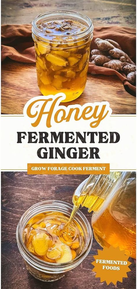 Dive into the world of honey fermented ginger, a tasty and healthful addition to your fermented foods & fermentation recipes collection. With just ginger and raw honey, you can boost your immune system and enjoy the anti-inflammatory properties of ginger. Great for those interested in long term food storage and herbs for health. Find more at growforagecookferment.com. Fermented Ginger, Herbs Medicine, Ginger Bug, Fermented Honey, Mouth Health, Cold Remedy, Ginger Honey, Raw Apple Cider Vinegar, Fermentation Recipes