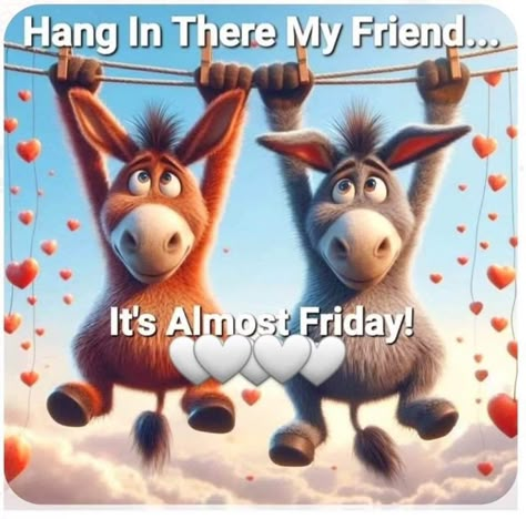 Happy Almost Friday, Thursday Humor Funny Mornings, Its Friday Humor Funny, Funny Thursday Quotes, Good Morning Gif Funny, Hello Funny, Funny Hello, 4 Day Weekend, Hello Thursday