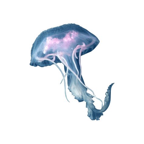 Fish Carrd Png, Sea Icons Png, Ocean Carrd Png, Jellyfish Png Aesthetic, App Icons Jellyfish, Oceancore Widgets, Sea Life Icons, Jellyfish Icon Aesthetic, Sea Png Aesthetic