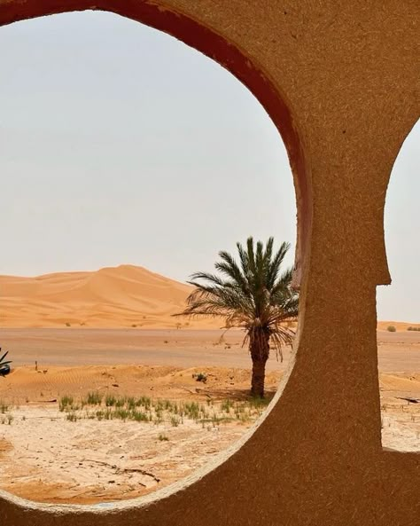 mood. . . #inspiration Beige Desert Aesthetic, Desert Romance Aesthetic, Desert Oasis Aesthetic, Safari Accessories, Morocco Landscape, Desert Getaway, Camping In The Desert, Oasis Landscape, Oasis Aesthetic