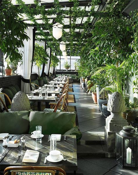 Viennese Coffee, Rooftop Restaurant Design, New York Restaurants, Terrasse Design, Outdoor Restaurant Design, Terrace Restaurant, Garden Restaurant, Cafe Terrace, Nyc Hotels