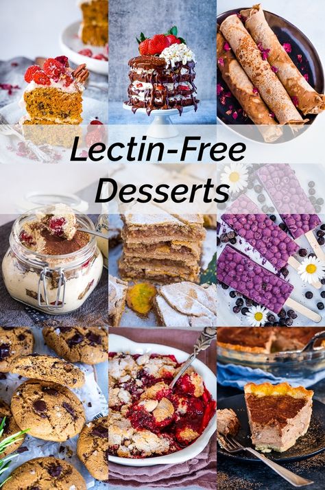 Lectin Free Foods Dr Gundry, Lectin Free Dessert Recipes, Plant Paradox Desserts, Lectin Free Desserts, Lectin Free Soup, Dr Grundy, Dr Gundry Recipes, Gundry Diet, Gundry Recipes