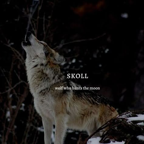 Viking Last Names, Male Viking Names, Norse Names And Meanings, Names That Mean Wolf, Fantasy Male Names, Viking Names, Mystical Names, Oc Name, Oc Names