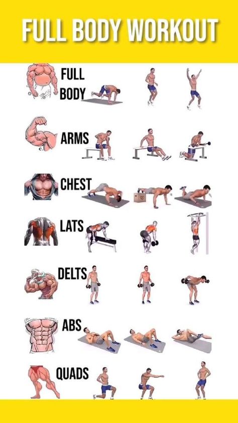 Daily Full Body Workout, Gym Workout Apps, Abs Workout At Home, Full Body Workout Plan, Workout Man, Workout Daily, Latihan Dada, Full Body Workout Routine, Full Body Workout At Home