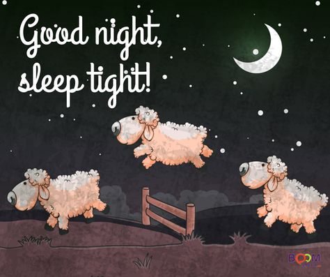 Hopefully you don't have to count too many sheep tonight! #goodnight #sleeptight I  hate this time change... Sweet Dreams Sleep Tight, Sweet Dream Quotes, Good Night World, Good Night I Love You, Good Night Funny, Good Night Sleep Tight, Evening Greetings, Goodnight Quotes, Cute Good Night