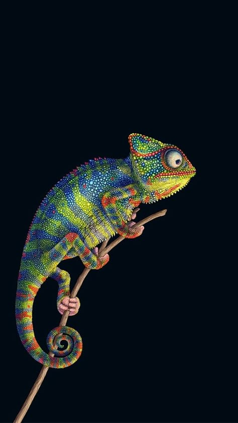 Cameleon Art, Chameleon Paint, Illustration Design Poster, Colorful Lizards, Chameleon Art, Web Advertising, Skin Bumps, Wild Animals Pictures, Color Wallpaper