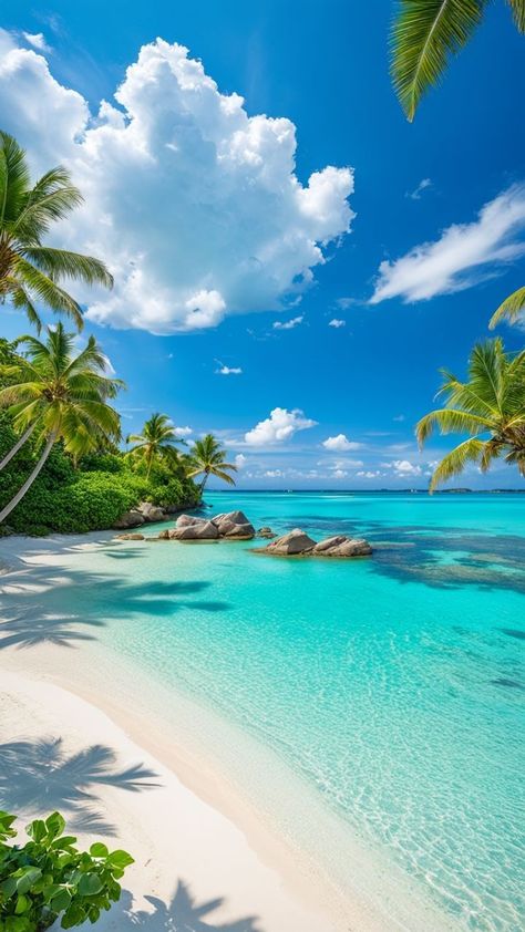 Most Beautiful Beaches In The World, Summer Beach Background, Edgar Davids, Tropical Paradise Beach, Summer Beach Wallpaper, Beautiful Beaches Paradise, Clear Ocean, Beautiful Beach Pictures, Beautiful Ocean Pictures