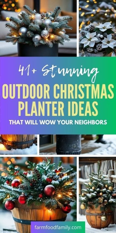 41+ Stunning Outdoor Christmas Planter Ideas That Will Wow Your Neighbors 86 Planters For Christmas Decorations, Christmas Hanging Planters, Christmas Landscaping Ideas, Diy Christmas Outdoor Planters, Outdoor Christmas Hanging Baskets Diy, Outdoor Christmas Planters Farmhouse, Outdoor Planter Christmas Decorations, Outdoor Christmas Entryway, Large Christmas Planters Outdoor