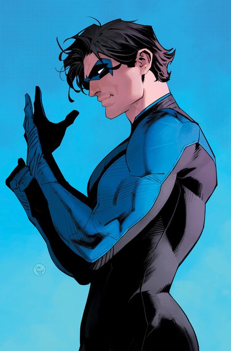 Nightwing Art, Nightwing Wallpaper, Nighwing, Dan Mora, Circus Characters, Univers Dc, Arte Dc Comics, Dc Comics Artwork, Batman Family