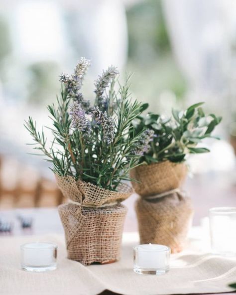 Olive And Lavender, Country Wedding Flowers, Outdoor Table Decor, Weddings In Italy, Spanish Christmas, Country Style Wedding, Tuscan Wedding, Wedding Confetti, Church Decor