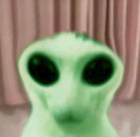 Silly Alien, Alien Animals, Gnarp Gnarp, Alien Cat, Cats Pictures, Silly Cats Pictures, Silly Goofy, Silly Animals, Reaction Images