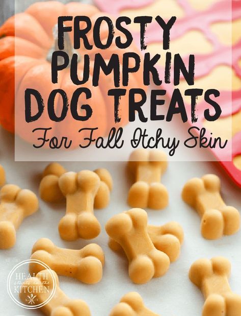 Danny Dog, Pup Treats, Pet Recipes, Animal Treats, Frozen Dog Treats, Dog Biscuit Recipes, Doggy Treats, Dog Food Treats, Easy Dog Treats