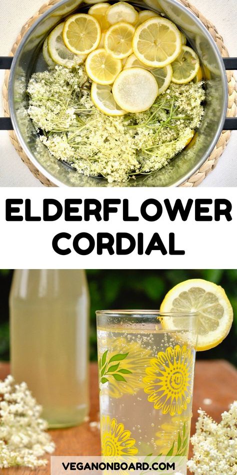 Tangy and refreshing, simple. Summer in a glass. The best elderflower cordial recipe! Elderflower Recipes, Elderberry Flower, Cordial Recipe, Elderflower Cordial, Foraging Recipes, Perfect Summer Drink, Foraged Food, Toxic Foods, Food Additives