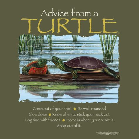 Advice From A Turtle, Advice From A Cow, Turtle Sayings, Crazy Sayings, Creative Sketching, Fernandina Beach Florida, Earth Sun And Moon, Spirit Animal Meaning, Slider Turtle