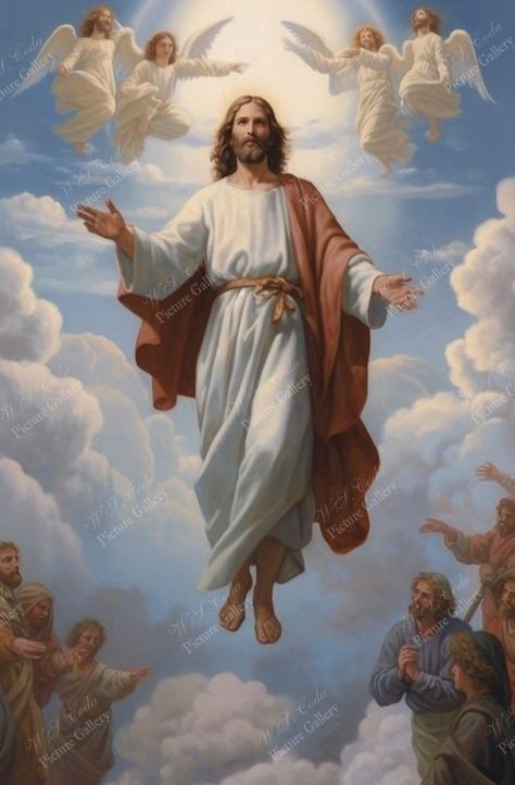 Manifestation Mindset, Ascension Of Jesus, Ascension Day, Jesus Drawings, Jesus Christ Painting, Jesus Artwork, Father In Heaven, Pictures Of Christ, Jesus Christ Artwork