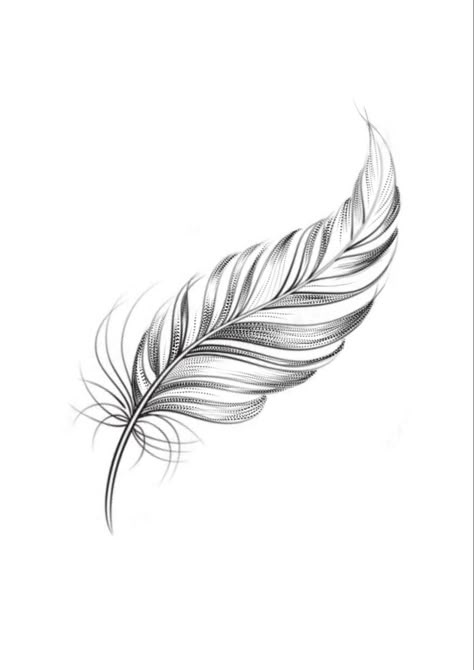 Simple Feather Tattoo Design, Veer Tattoo, Feather Tattoo Stencil, Feathers Tattoo Design, Simple Feather Tattoo, Plumas Tattoo, Plume Tattoo, White Feather Tattoos, Tattoo Plume