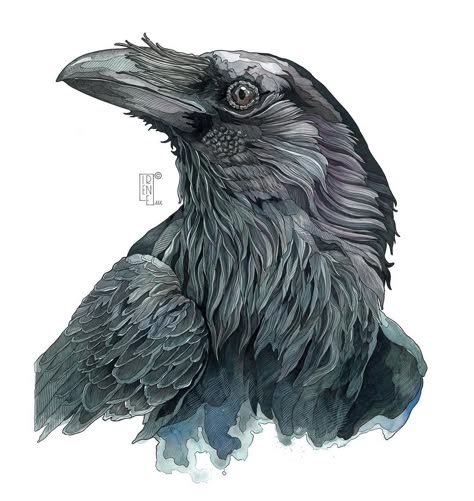 Irene Meniconi | Animal watercolor artist | “Raven” 50 x 70 cm Watercolor, ink, markers, colored pencils and gouache on paper. Private collection ⭐️ Limited edition available in… | Instagram Watercolor And Ink Animals, Raven Watercolor Paintings, Raven Ink Drawing, Fine Art Ideas, Irene Meniconi Art, Irene Meniconi, Raven Watercolor, Raven Drawing, Raven Illustration