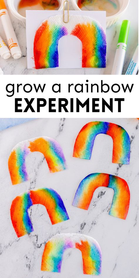 Growing Rainbow Experiment, Springtime Art For Preschoolers, Colorful Science Experiments For Kids, Rainbow Water Science Experiment, Stem Ideas For 1st Grade, Rainbow Math Preschool, Spring Science Experiments For Toddlers, Rainbow Stem Activities Preschool, Art Experiences For Preschoolers