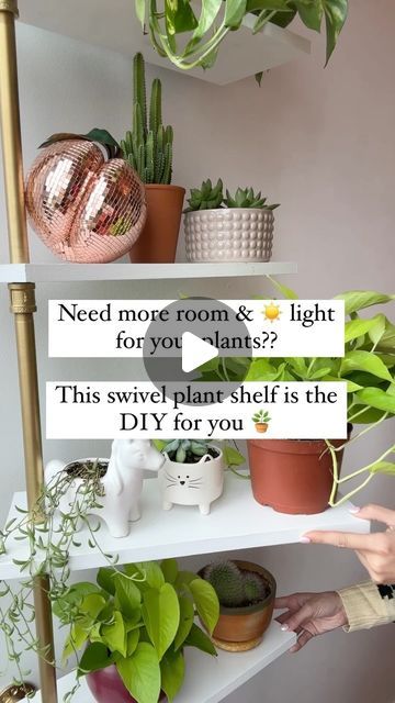 Katie Unicorn | Home & Garden Design on Instagram: "This swivel plant shelf DIY - originally sourced from @neverskipbrunch - has got to be the cutest and practical! solution for your plant babies 🪴   This shelf does it all: Swivels so your plant babies can get the even light they need, stacks your plants vertical so you have more room to grow your collection, AND adds a beautiful feature to your room you can change up anytime you want. Like movable living art. I love that it’s a functional and fun solution.   PRO TIPS:  🪴 When drilling your holes in the shelves, drill them at a slight angle so the shelves remain level once they have the plants on them so they don’t ‘slant’ or sag from the weight. (Drill some test holes in a scrap piece of wood to test it out!) 🪴Make sure you prime your Plant Stacking Ideas, Swivel Shelf For Plants, Diy Swivel Shelf, Rotating Plant Shelf, Plant Shelf Diy, Swivel Shelf, Indoor Plant Shelf, Plant Parenthood, Window Plant Shelf