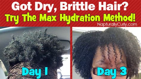 Maximum Hydration Method, Max Hydration Method, Natural Hair Regimen, Type 4 Hair, Hair Regimen, Pelo Afro, Beautiful Natural Hair, 4c Natural Hair, 4c Natural