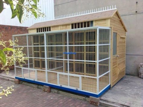 Pigeon Aviary, Fantail Pigeon, Small House Diy, Pigeon Coop, Racing Pigeon Lofts, Pigeon Loft Design, Finch Cage, Pigeon Nest, Pigeon Cage