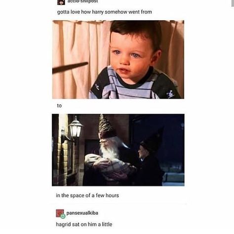 Neville's Toad △⃒⃘ on Instagram: “Just a little (via:@boredom_reliever )” Harry Potter Cursed, Harry Potter Cursed Child, Harry Potter Memes Hilarious, Harry Potter Feels, Harry Potter Headcannons, Harry Potter Universe, Harry Potter Things, Harry Potter Jokes, Harry Potter Love