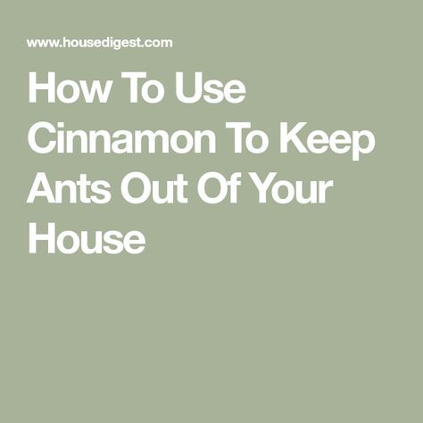 How To Use Cinnamon To Keep Ants Out Of Your House How To Keep Ants Out Of House, Ants Repellent Diy, Worm Beds, Repellent Diy, Sugar Ants, Cinnamon Water, Ant Spray, Ant Repellent, Ant Problem