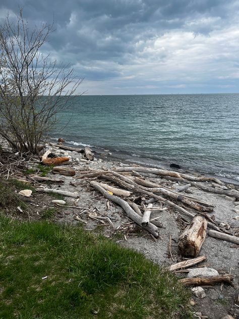 Touching Spirit Bear, Shipwreck Island, Island Aesthetic, Island Survival, Deserted Island, Lord Of The Flies, Island Life Style, Desert Island, Elements Of Design