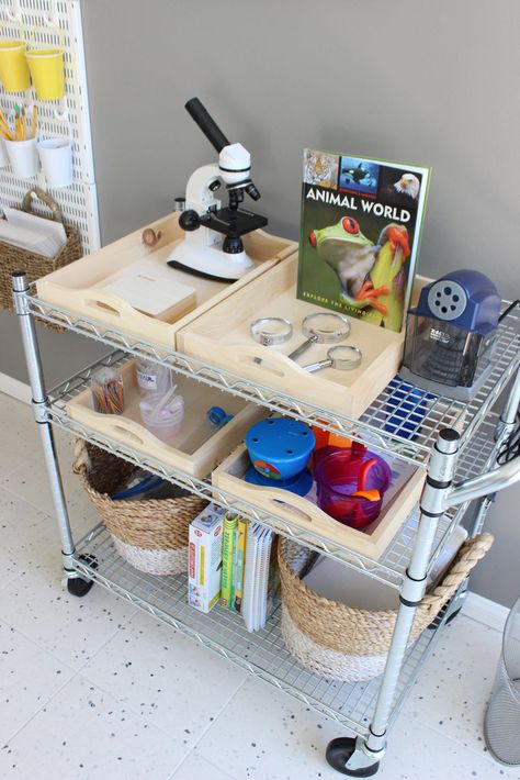 Let These Before-and-After Playroom Photos Inspire You to Transform Your Space Science Room Decor, Kids Science Lab, Science Bedroom, Kids Playrooms, Science Room, Playroom Storage, Play Spaces, School Room, Science Lab