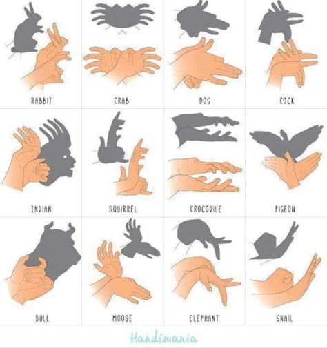 Hand Shadow Puppets, Shadow Puppets With Hands, Zombie Apocalypse Kit, Hand Shadows, Puppet Patterns, Puppet Crafts, Crochet Mermaid, Shadow Art, Shadow Puppets